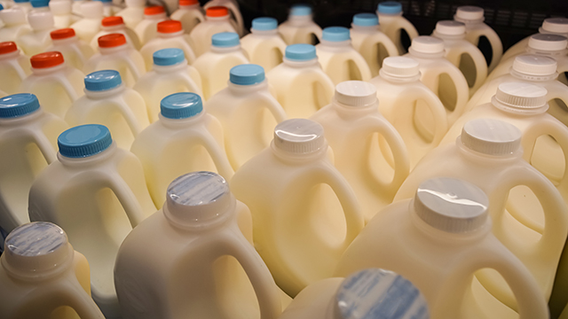 Many jugs of milk.