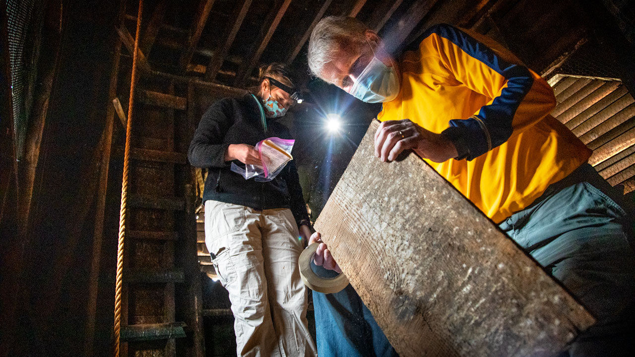 Two people examine wood in the belfry of St. James A.M.E. Zion Church in Ithaca.