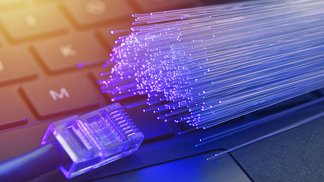 An ethernet and fiber optic cables.