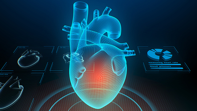 A digital rendering of a heart.